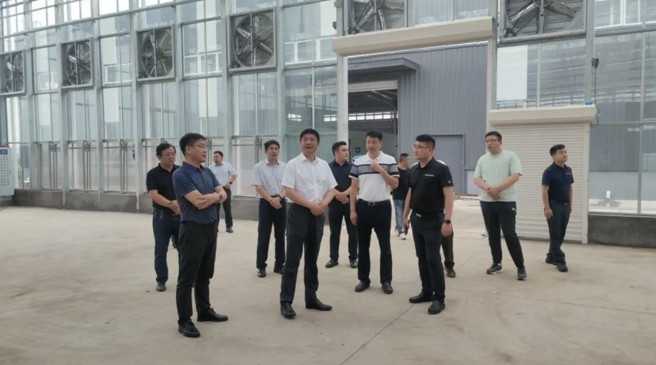省生态环境厅第四专员办在连云港市调研农业面源污染防治工作(图1)